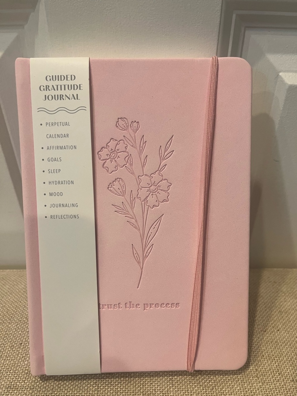 NWT Spritz Guided Gratitude Journal - Pink